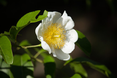 Similar image 19583711