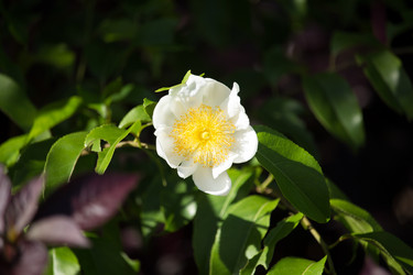 Similar image 19583712