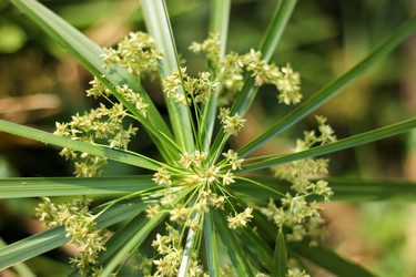 Similar image 19607177