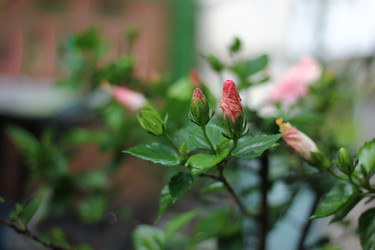 Similar image 19607181