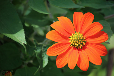 Similar image 19607190