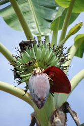 Similar image 19793294