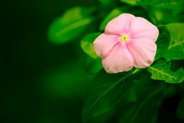 Similar image 19793295