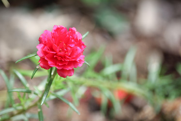 Similar image 19793298