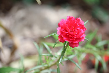 Similar image 19793300