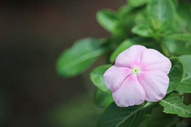 Similar image 19793301