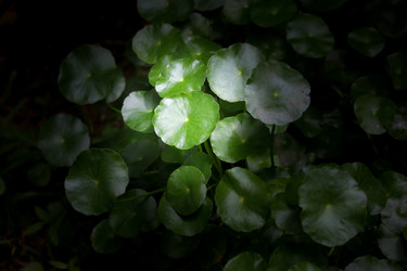 Similar image 19793303