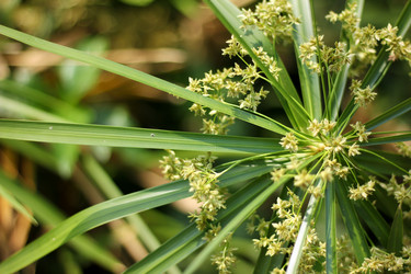 Similar image 19793305