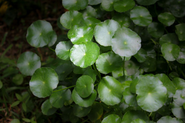 Similar image 19793308