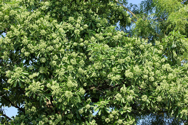 Similar image 19196080