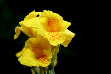 Similar image 19196081