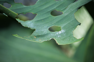 Similar image 19196083