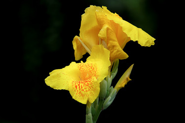 Similar image 19196084