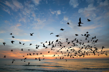 Similar image 19196085