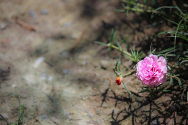 Similar image 19196086