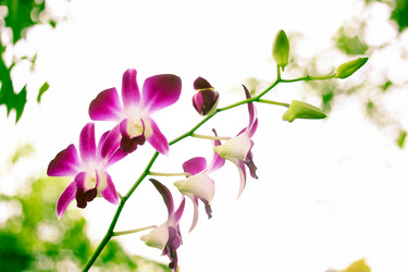 Similar image 19196087