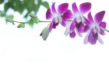 Similar image 19196088