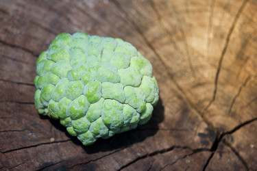 Similar image 19196089