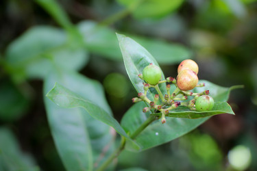 Similar image 19196103