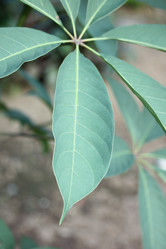 Similar image 19196105