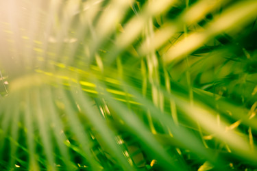 Similar image 19196106