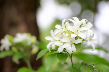 Similar image 19196109