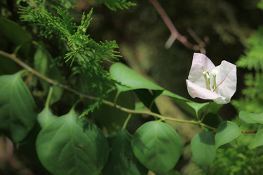 Similar image 19196111