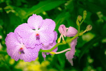 Similar image 19196123