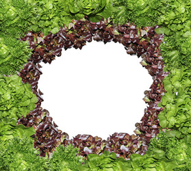 Similar image 19196125