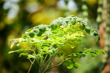 Similar image 19196115