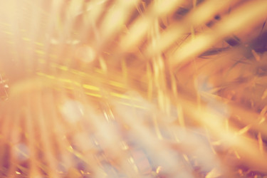 Similar image 19196117