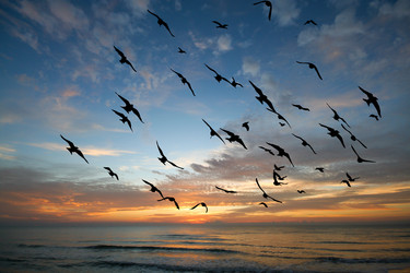 Similar image 19580762