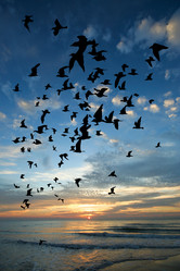 Similar image 19580764