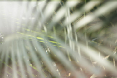 Similar image 19580769