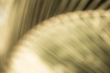 Similar image 19580773