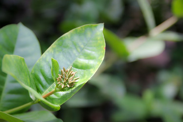 Similar image 19580774