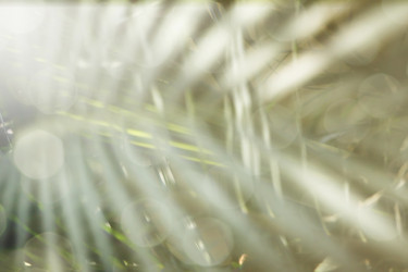 Similar image 19580775