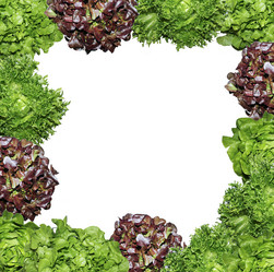 Similar image 19580777