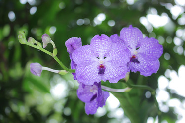 Similar image 19581184