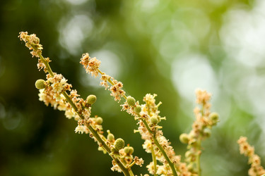 Similar image 19581185