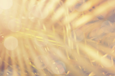 Similar image 19581186