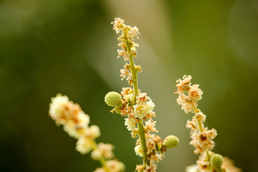 Similar image 19581187