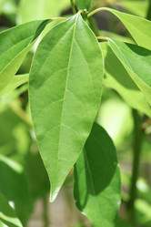 Similar image 19581189