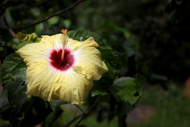 Similar image 19581190