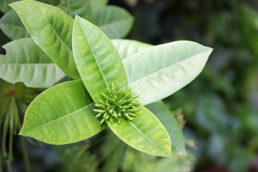 Similar image 19581191