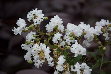 Similar image 19581192