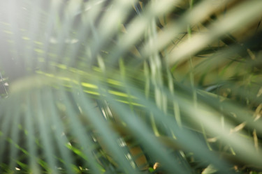 Similar image 19583738