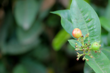 Similar image 19583739