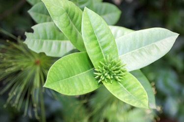 Similar image 19583747