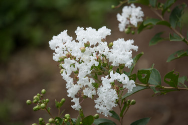 Similar image 19583751